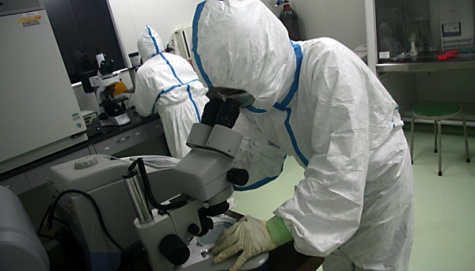 Cina Isolasi 16 Pasien Virus Flu Burung H7N9