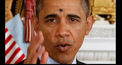 Dan Lalat Pun 'Mendarat' di Jidat Obama  