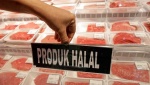 Bisnis Global Petinggi Majelis Bisnis Global Petinggi Majelis