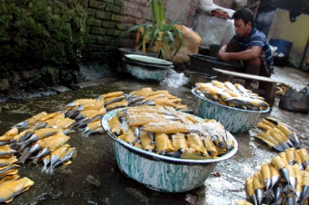 Pekerja mengolah bahan baku pindang ikan tongkol di Desa Ciganitri, Kabupaten Bandung, Jumat (24/7). Saat ini produksinya menurun karena bahan baku yang mahal, harga jual setelah diolah hanya Rp. 1.250 s/d Rp. 1500 per ekor. TEMPO/Prima Mulia