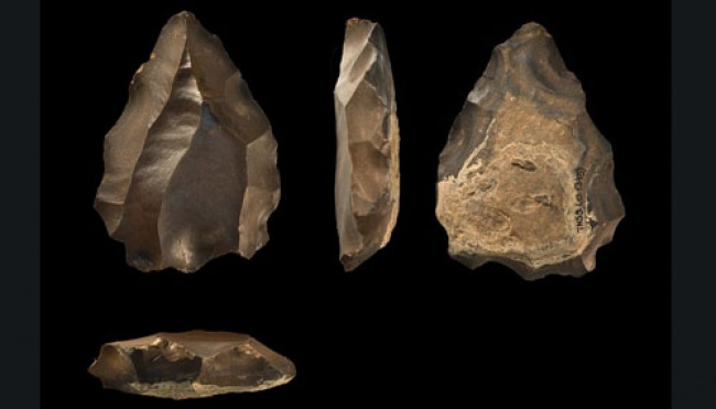 Asal-usul Teknik Pembuatan Alat Batu Levallois | tempo.co