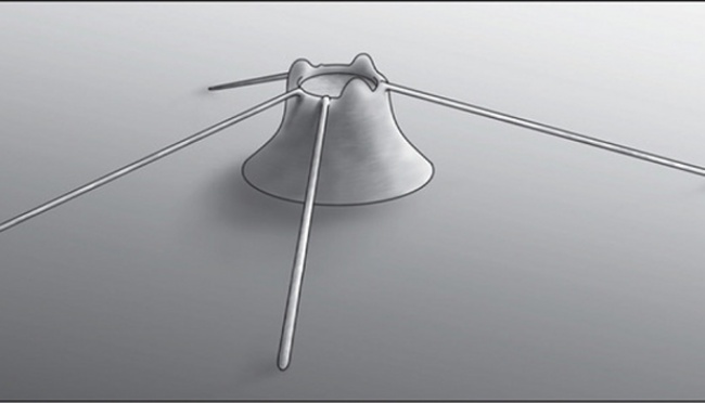 Hewan Berkerangka Pertama di Bumi Ditemukan | tempo.co