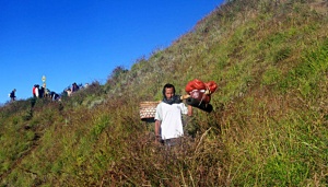 Di Kaki Rinjani, Sampah Pendakian jadi Media Tanam Jamur Tiram