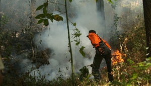 Kebakaran Gunung Ciremai Meluas, Jalur Pendakian Tak Terganggu