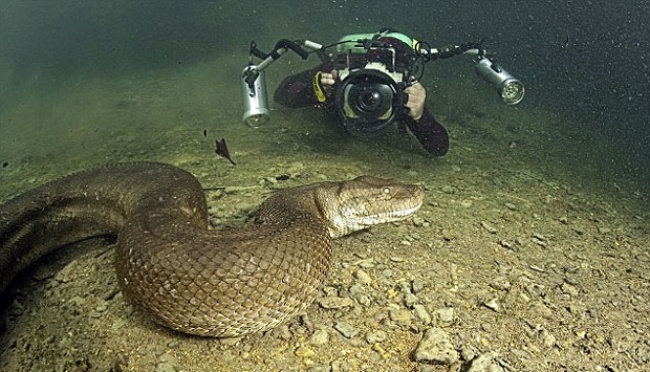 Jinsiy aloqa haqida qolda chizilgan gif Chuqur blowjob erotik oyinlar