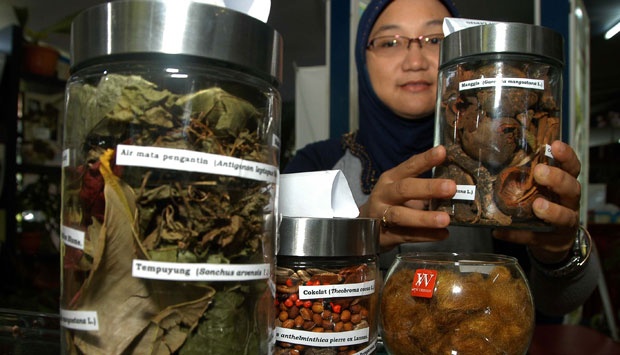 Here's Why Indonesia Should Learn Medicinal Plant Quality from China and India