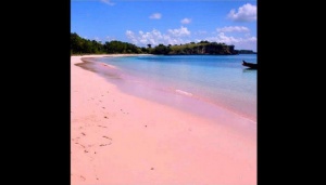 5 Pantai Pink di Dunia, 2 di Antaranya Ada di Indonesia