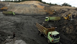 Ini Penyebab Ekonomi Kaltim Masih Tergantung Pada Harga Batu Bara