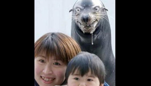 Saat Hewan Merusak Momen-momen Indah - Foto Tempo.co