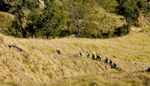 Pendaki Gunung Rinjani Tewas Sewaktu Turun Pendakian