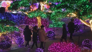 Mudik Lebaran 2019, Terminal Pulogebang Sediakan Tiga 