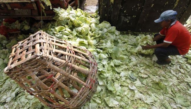 Aksi Warga Mencari Makanan Layak Konsumsi di Tumpukan Sampah | tempo.co