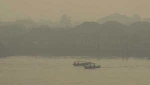 Asian Games 2018: Greenpeace Ingatkan Ancaman Kebakaran Hutan
