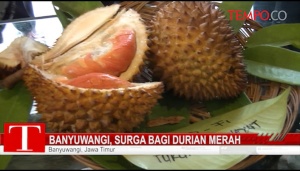 Durian Merah dan BEC Banyuwangi Jadi Seri Prangko