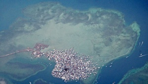 Pulau Bungin Terpadat di Dunia Kebakaran Saat Gempa 7,0 SR