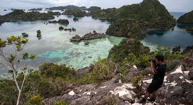 Mining in Raja Ampat Puts Rare Blue Orchid at Risk