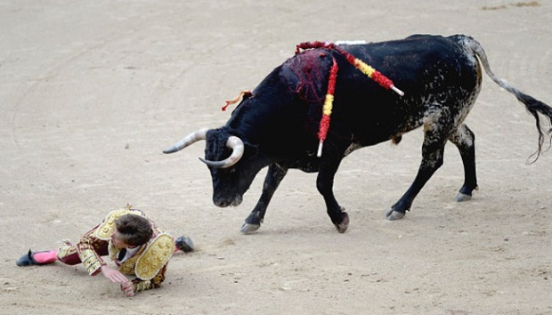 Spain's 'Running of the Bulls' Festival Opens in Pamplona