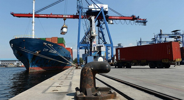 Indonesia Exports 11 Tons of Black Tiger Prawns to Japan