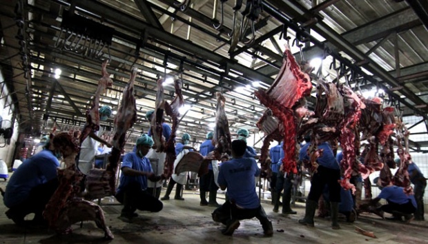 Ibadah Kurban di Sejumlah Daerah - Foto Tempo.co