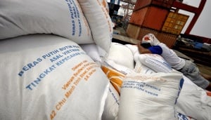 Bulog Pastikan Impor Beras Tak Lebih dari 500 Ribu Ton