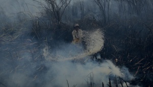 Wiranto: Kebakaran Hutan Masalah Strategis Regional dan Global