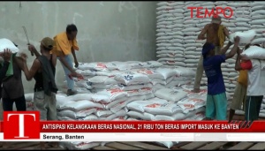 Impor Beras, DPR Akan Panggil Mentan dan Bulog Pekan Ini