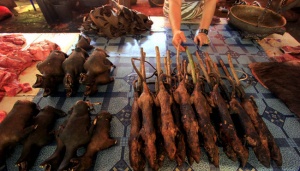 Di Tomohon, Turis Asing Gemar Belanja Barang-barang Ini