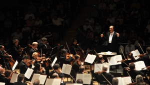 Study Shows Music's Universal Patterns Across Societies Worldwide