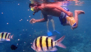 20 Titik Penyelaman di Sabang Mempesona Penyelam Asing
