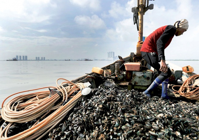BRIN Temukan 5 Jenis Logam Berat di Sedimen Teluk Jakarta