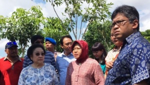 Saat Megawati Bangga Tak Salah Memilih Risma