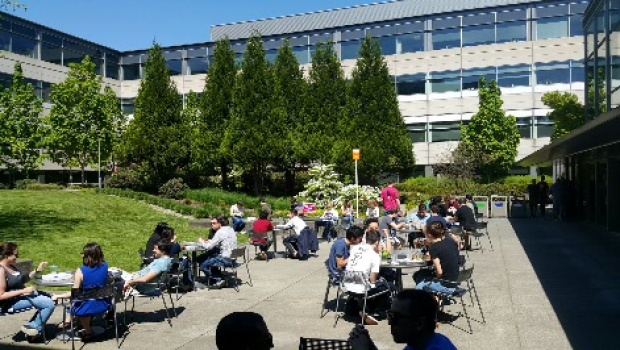 Microsoft's Another Wave of Layoffs: Over 9,000 Employees Affected