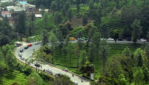Ada Bus Feeder Wisatawan, Jika Jalur Puncak Berlaku Ganjil Genap