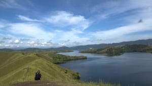 Warga Sentani Tanam Pohon Cemara Kipas di Bukit Teletabis Papua