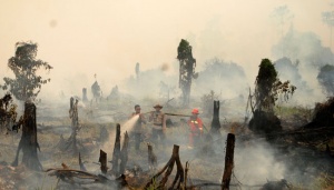 Menlu Singapura Bahas Kebakaran Hutan dengan Pemprov Riau