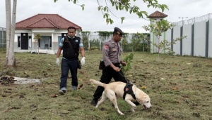 Begini Kantor Unit Anjing Pelacak Narkoba yang Baru di Bogor