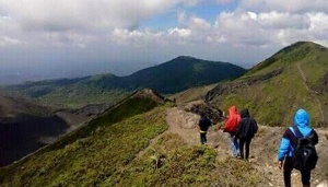Penemuan Habitat Baru Bunga Rafflesia Langka di Bukit Kaba