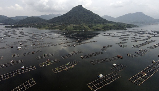 Bekasi Earthquake Sounds Alarm on Jatiluhur Dam Safety as Retrofitting Overdue