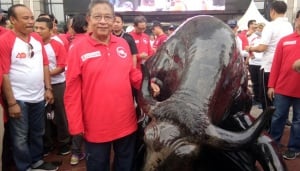 Darmin Nasution: Online Single Submission Diluncurkan Pekan Depan