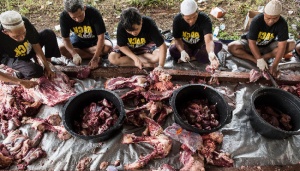 Idul Adha, Jasa Bersihka n Bulu Kepala Kambing dan Sapi Laris