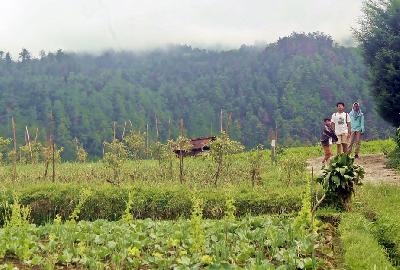 Libur Akhir Tahun, Catat 8 Tujuan Wisata di Solo dan Sekitarnya