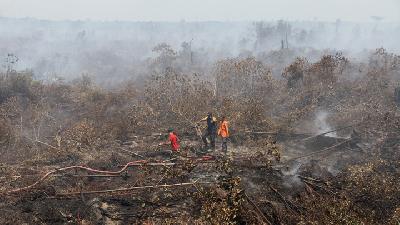 KLHK: Titik Api Akibat Kebakaran Hutan Turun 88 Persen