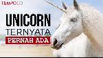 Riset Terbaru: Ini Bukti Unicorn Pernah Ada