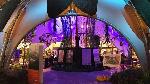 Musisi Jazz Meriahkan Pembukaan Ecodome