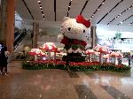 Semua Bunga di Bandara Changi Asli, ini Alasannya