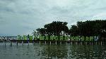 Liburan Akhir Tahun, Brebes Siapkan Penjelajahan Hutan Mangrove
