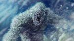 Setelah Yeti, Mungkinkah 7 Makluk Misterius Ini Terungkap?