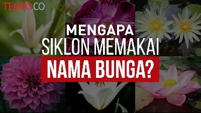 Alasan Siklon Tropis Menggunakan Nama Bunga