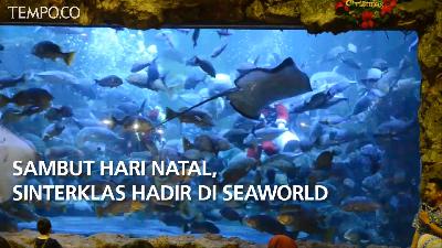 Sambut Hari Natal, Sinterklas Hadir di Seaworld