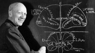 Mengenal Wilder Penfield, Sosok Ilmuwan yang Masuk Google Doodle